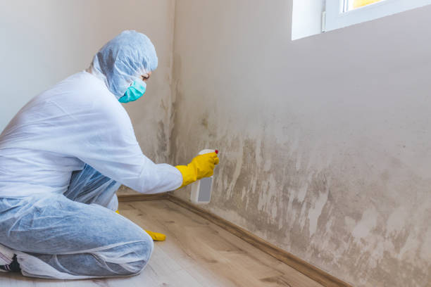 Licensed Mold Testing service in Highland, MD - WQB Mold Removal
