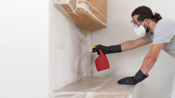 Professional Mold Testing technician working in Highland, MD