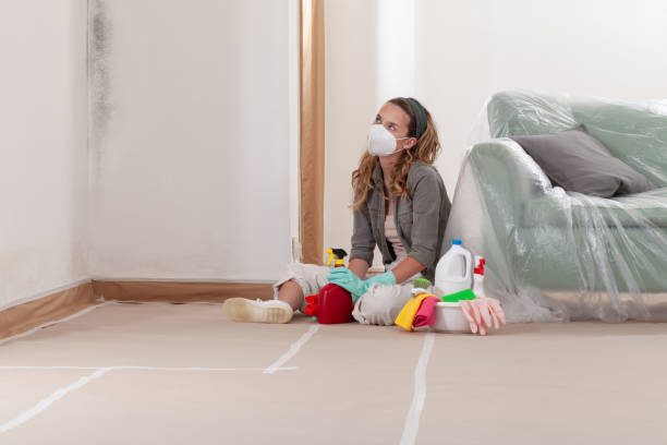 Reliable Mold Testing contractor in Highland, MD by WQB Mold Removal