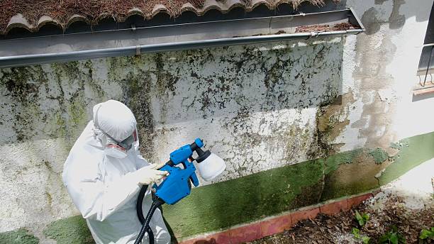 Top rated local Mold Testing specialists in Highland, MD